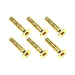 Square R/C M3 x 14mm Stainless Steel Flat Head Hex Screws, Gold Plated (6 pcs.)