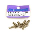 Square R/C M4 x 12mm Titanium Flat Head Hex Screws (6 pcs.)