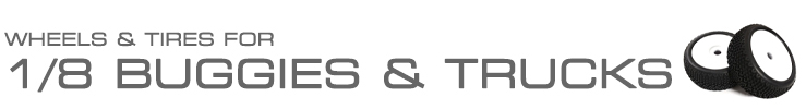 1/7, 1/8 Buggy & Truggy