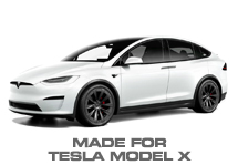 Model X
